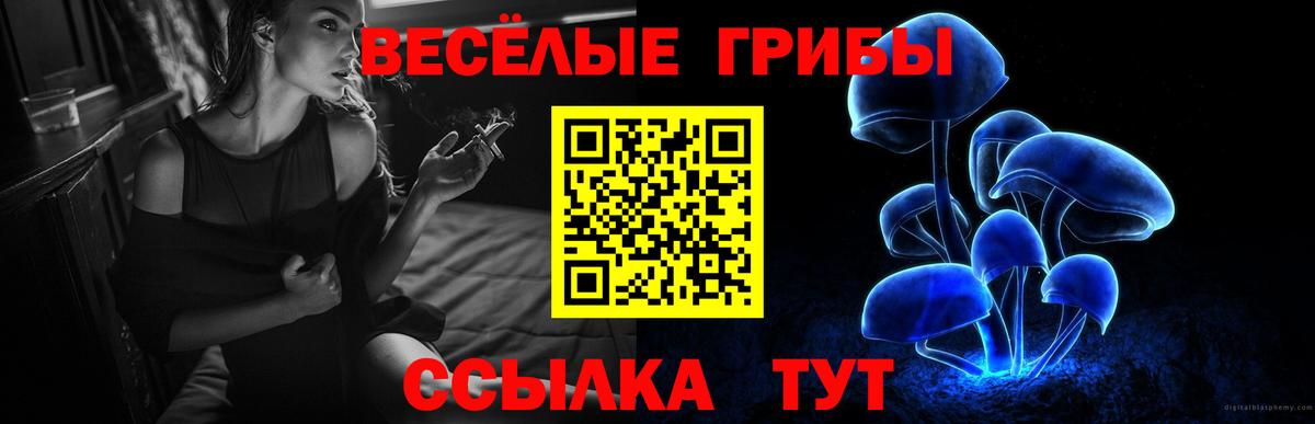 Галлюциногенные грибы MAGIC MUSHROOMS Родники